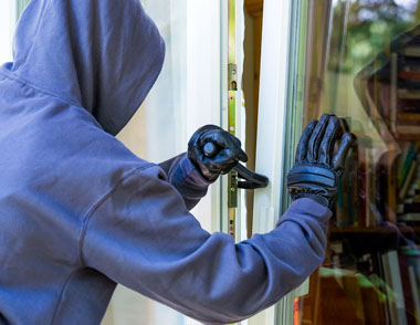 Securtem burglar protection